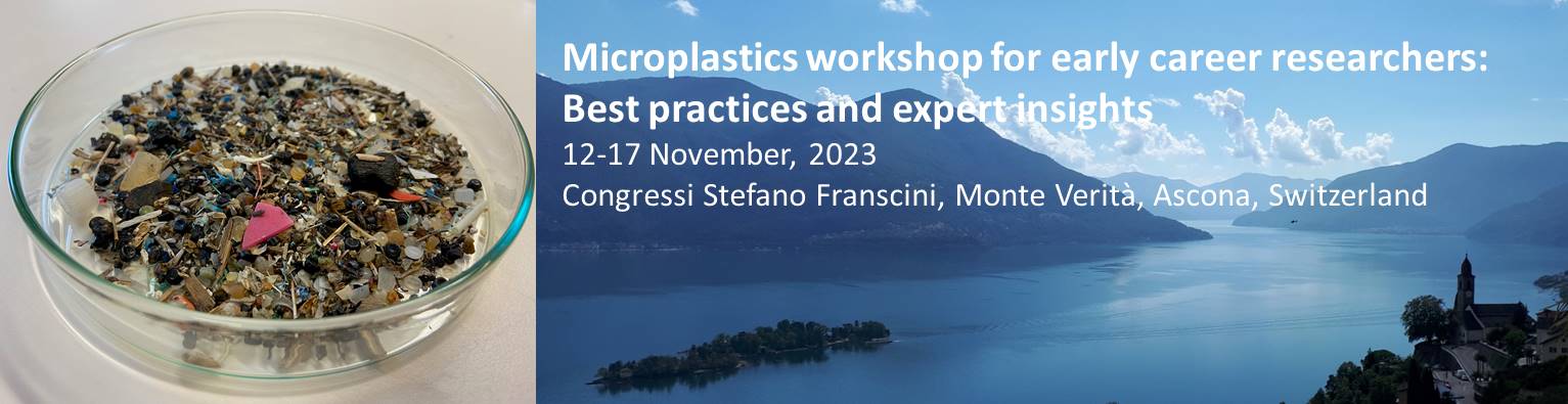 Microplastics workshop for early career researchers: Best practices and expert insights
